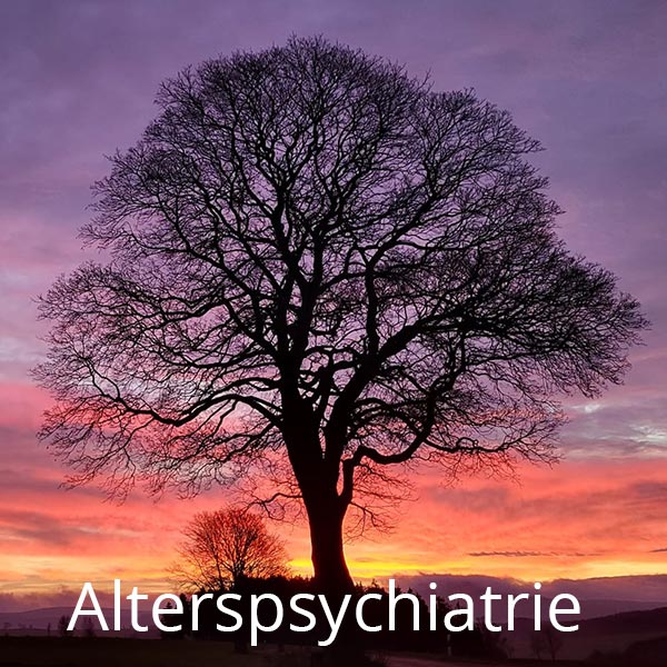 Alterspsychiatrie