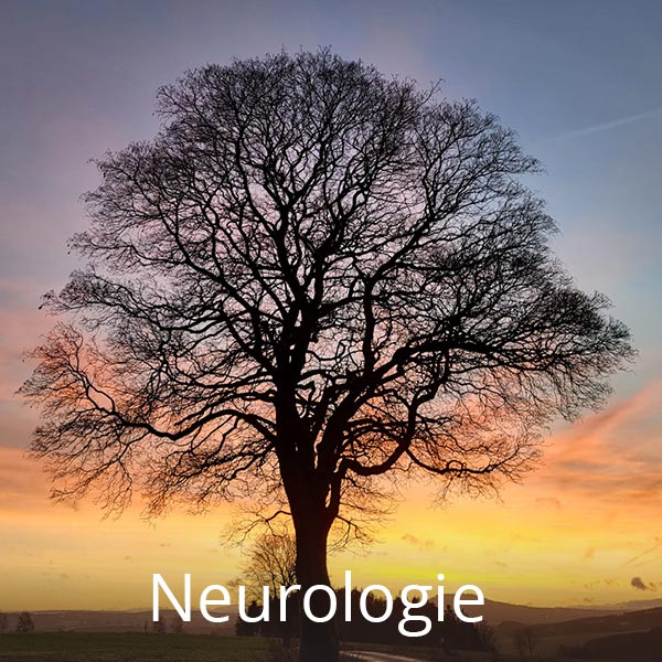 Baum als Symbol für Neurologie